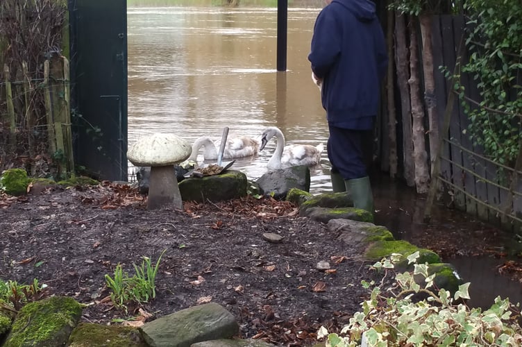 National Flood Forum are reaching out to victims of flooding.