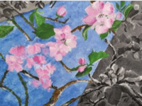 Cam Valley Arts Trial look forward to their Open Arts competition