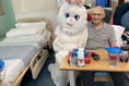 Special visitor hops in to hospital!