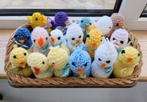 Trinity Methodist Church raise over £500 with knitted chicks