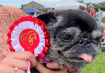 Paws-itive news: Peasedown PITP will hold dog show again