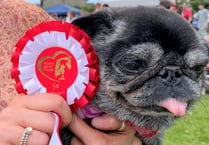 Paws-itive news: Peasedown PITP will hold dog show again