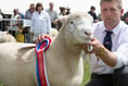 Plenty to look forward to at Royal Bath and West Show this month
