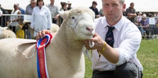 Countdown has begun to Royal Bath and West Show 