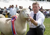 Countdown has begun to Royal Bath and West Show 