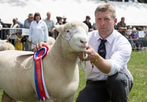 Sheep Association’s National Show will be at Royal Bath & West Show