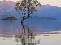 Home and away: NRPS enjoy Tony’s holiday images