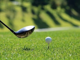 Plenty of action for Mendip golfers in the past week