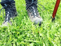 Go rambling this August
