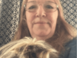 New Town Councillor 