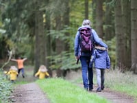 Free nature course for adults in Radstock