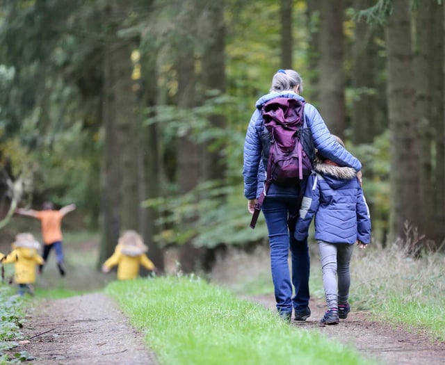Free family activities by Frome charity