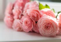 Council remembers Tim Morgan: Poll to be rearranged due to candidate death