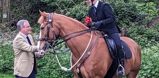 Avon and Somerset Police name "small horse with big personality"