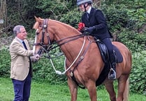 Avon and Somerset Police name "small horse with big personality"