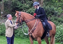 Avon and Somerset Police name "small horse with big personality"