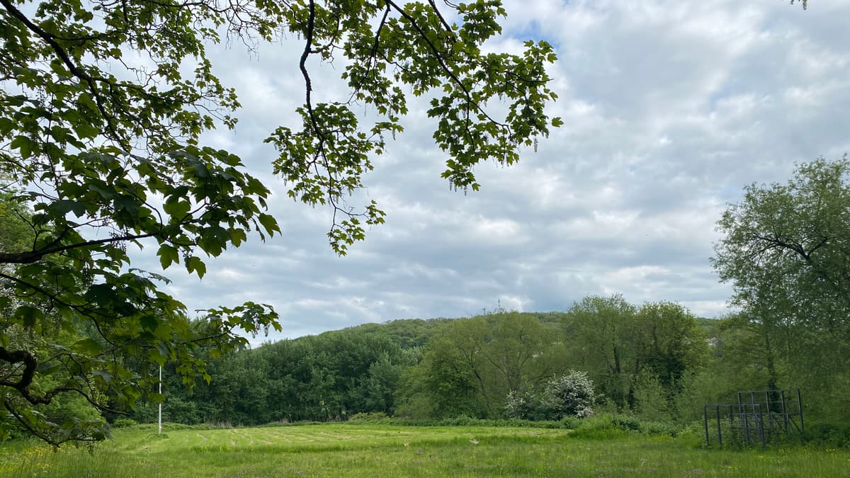 Lidl plans divide neighbours on London Road, Bath as plans set for