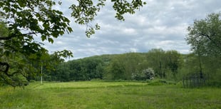 Lidl plan divides locals