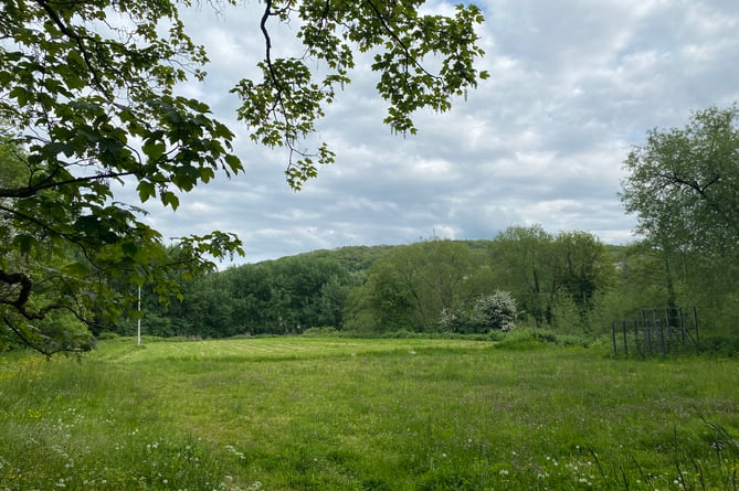 The meadow where the Lidl would be built.