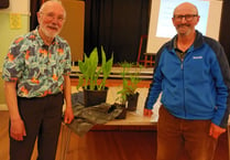 Kilmersdon Gardeners: Common and Binomial plants