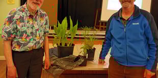 Kilmersdon Gardeners: Common and Binomial plants