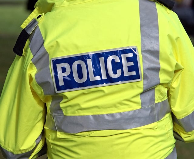 Man in court after 12-week-old puppy died in fall from height