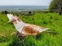 The plight of the Skylark 