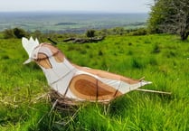 The plight of the Skylark 