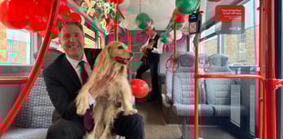 Apply for your free Birthday Bus Month Pass today!  