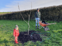 More trees please! 