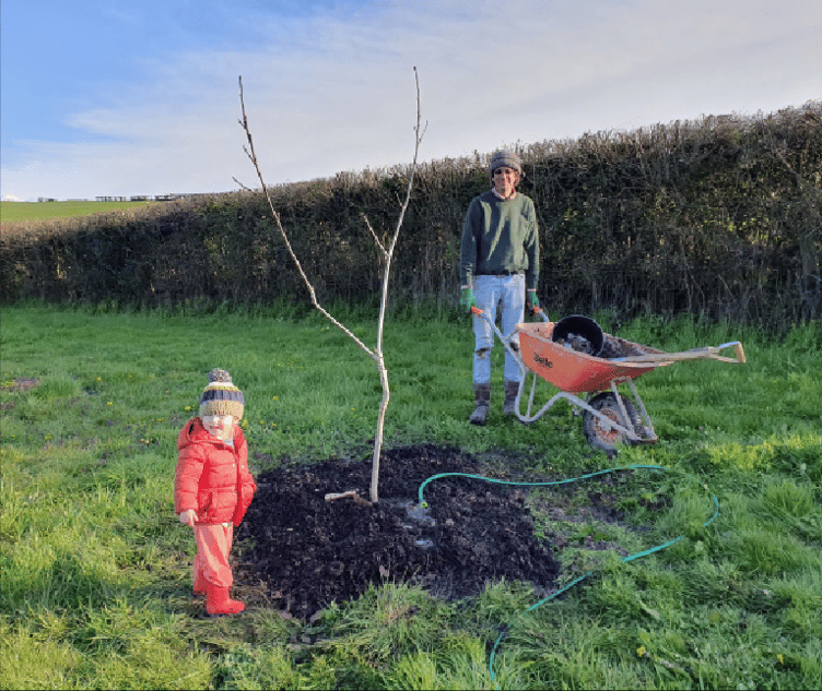Hedgerow planting in February 2022, and (pictured left), the same hedgerow in May 2023