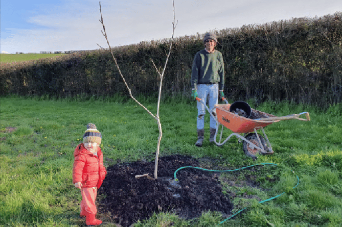 Hedgerow planting in February 2022, and (pictured left), the same hedgerow in May 2023