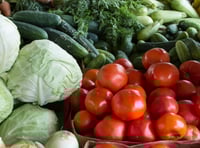 Families urged to join Healthy Start 