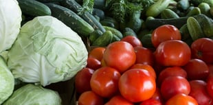 Families urged to join Healthy Start 