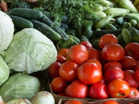 Families urged to join Healthy Start 