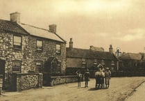  Can you guess where this week’s Mystery Photograph was taken?