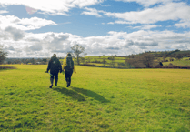 Calls for landowners to partner up with Avon Needs Trees