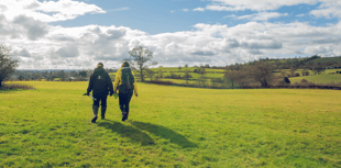 Calls for landowners to partner up with Avon Needs Trees