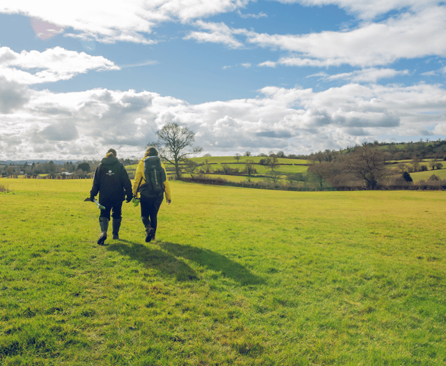 Calls for landowners to partner up with Avon Needs Trees