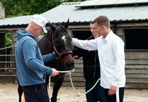 Animal therapy workshop held with rescued critters for ex offenders