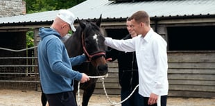 Animal therapy workshop held with rescued critters for ex offenders