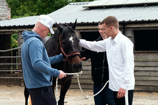 Connecting with rehabilitated horses