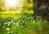 Have your say on Staddlestones Park