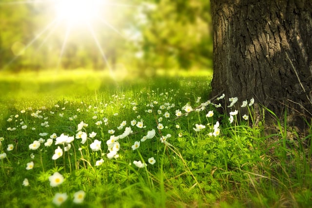 Have your say on Staddlestones Park