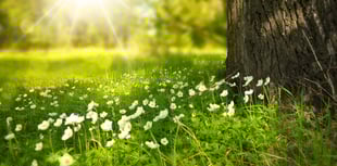 Have your say on Staddlestones Park