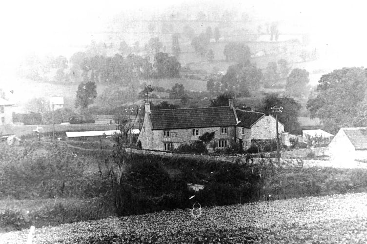 Can you guess this week's 'complete' Mystery Photograph?