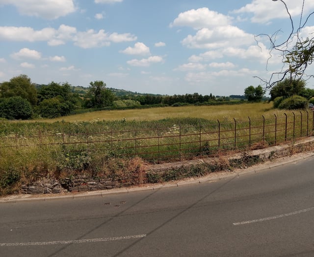Could you help save Winford field?