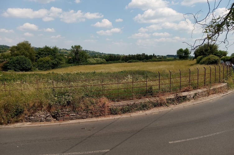 Winford Community Orchard Action Group are hoping to save this field from planning.