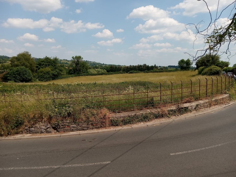 Winford Community Orchard Action Group are hoping to save this field from planning.