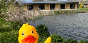Puddle Ducks new pool launch